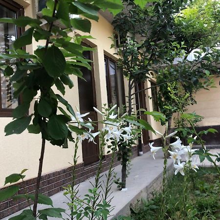 Дом Отель Бадамзар Tashkent Exterior photo